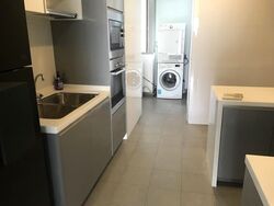 The Riverine By The Park (D12), Apartment #613837061